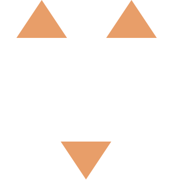 Owl Logo